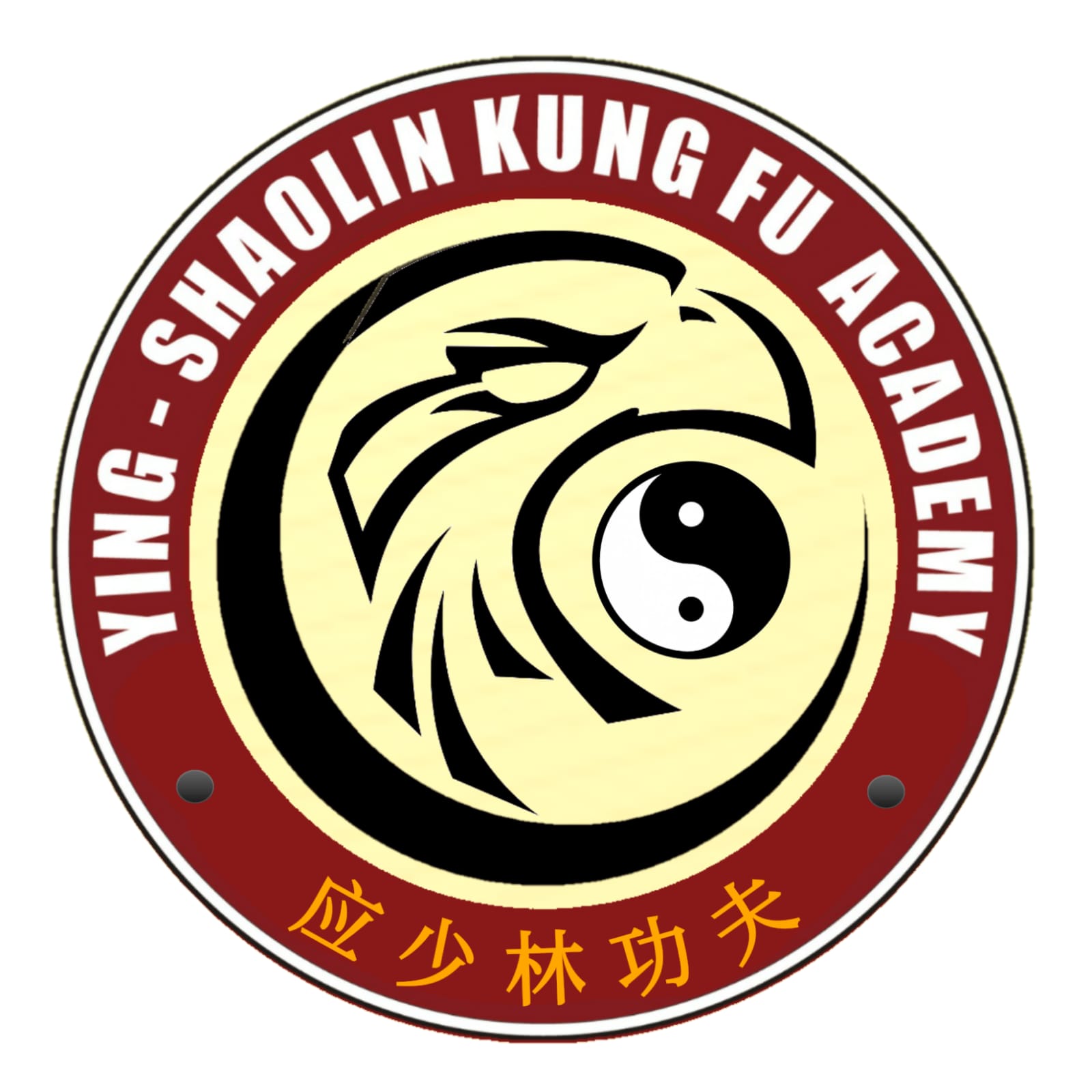YSK Academy Logo